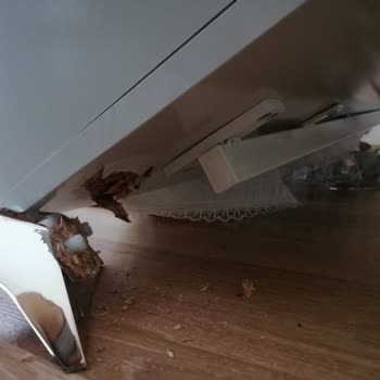 Bellona Valesco Konsol Ayak Kırılması