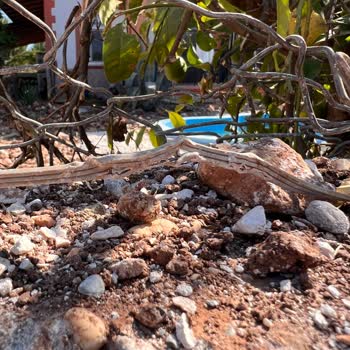 Türk Telekom Altyapı Sorununu Benim Çözmemi İstiyor.