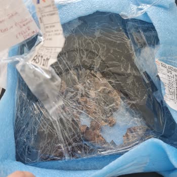 Iris Shot Kargo Özensizliği