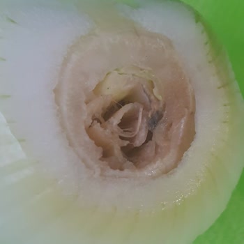 File Market Gönderdikleri Ürüne Bakın İçi Çöp