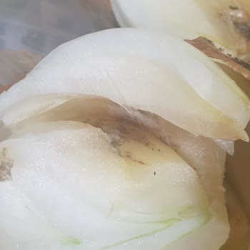 File Market Gönderdikleri Ürüne Bakın İçi Çöp