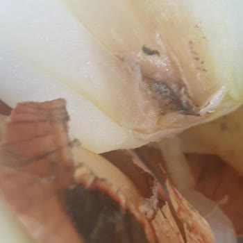 File Market Gönderdikleri Ürüne Bakın İçi Çöp