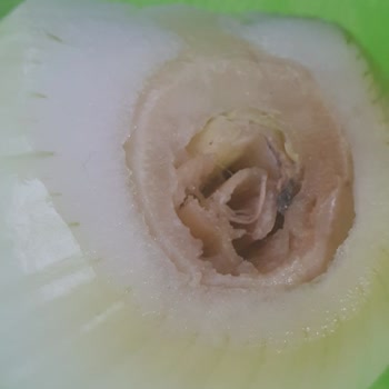 File Market Gönderdikleri Ürüne Bakın İçi Çöp