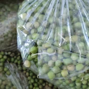 Egedenkapiniza (Instagram) Utanmazlıkta Son Nokta