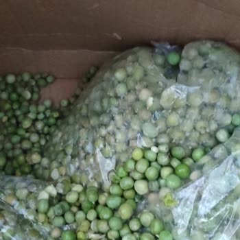 Egedenkapiniza (Instagram) Utanmazlıkta Son Nokta