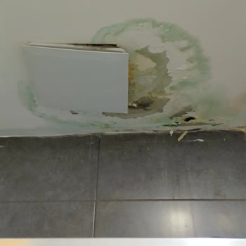 Kiptaş Havalandırma, Temizlik Ve Fare