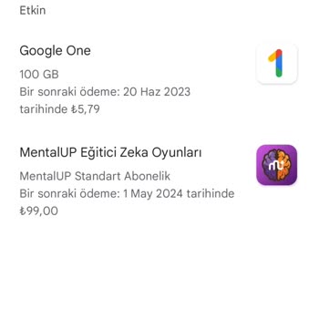 Mental Up Üyelik Ücreti