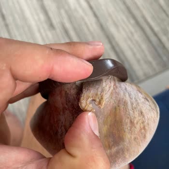 Rota Dalış (rotadalis.com.tr) Mallarının Arkasında Durmadılar