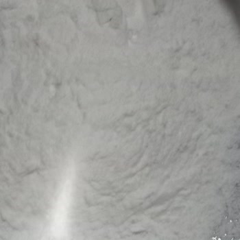 Arı Mama Pirinç Unundan Böcek Çıktı