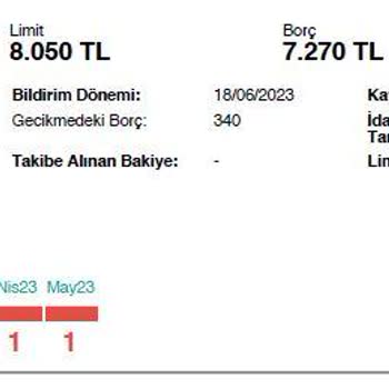 Findeks Raporunda Görünmeyen Banka İsimleri Hakkında