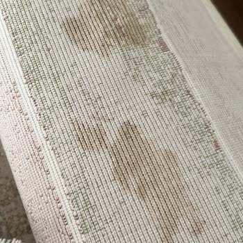 Antibakteriyel Halı Yıkama Halılarımı Kirletip Verdiler!