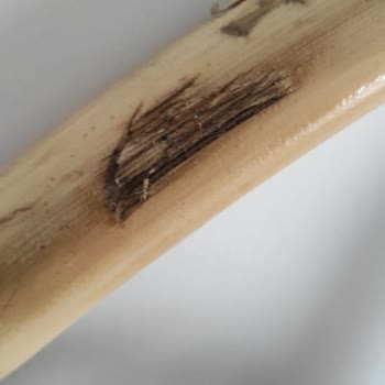 MyLamp İade Sürecinde Oluşan Yüksek Kargo Ücreti