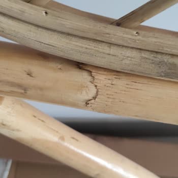 MyLamp İade Sürecinde Oluşan Yüksek Kargo Ücreti