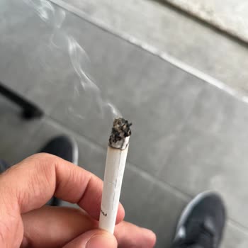 British American Tobacco Rothmans Blue Unblended Stems Ruining Smoking Experience