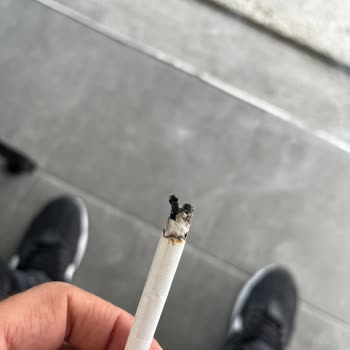 British American Tobacco Rothmans Blue Unblended Stems Ruining Smoking Experience