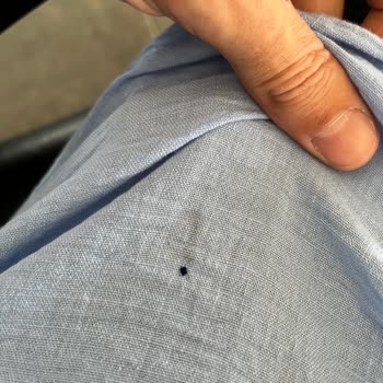 British American Tobacco Rothmans Blue Unblended Stems Ruining Smoking Experience