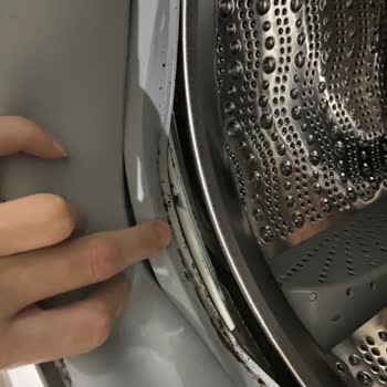 Bosch Marka Çamaşır Makinesi Körüğünde Küflenme Sorunu
