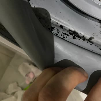 Bosch Marka Çamaşır Makinesi Körüğünde Küflenme Sorunu