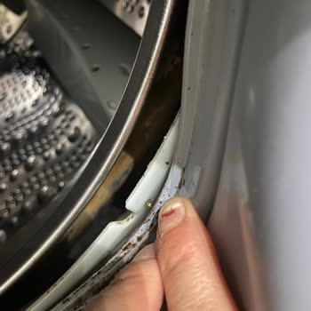 Bosch Marka Çamaşır Makinesi Körüğünde Küflenme Sorunu
