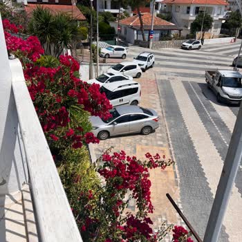 Milas Belediyesi Yol Çalışmasından Şikayetçiyim!