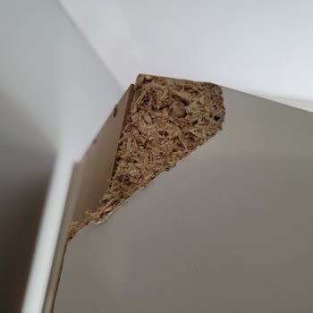 Rumeli Nakliyat Taşıma Sorunları Ve Memnuniyetsizlik