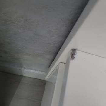 Rumeli Nakliyat Taşıma Sorunları Ve Memnuniyetsizlik