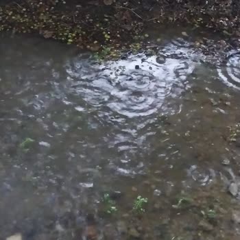 Silivri Belediyesi Su Giderleri Yagmur