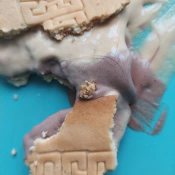 A101 Algida Sandwich Dondurmasından 2 Adet Kıl Çıktı