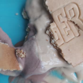 A101 Algida Sandwich Dondurmasından 2 Adet Kıl Çıktı