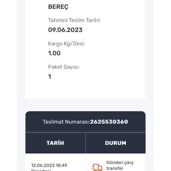 Aras Kargo Teslim Edilmeyen Kargo