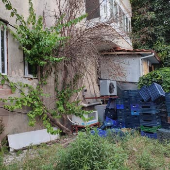 Çevre, Şehircilik Ve İklim Değişikliği Bakanlığı Kaçak Yapı, Gürültü