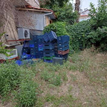 Çevre, Şehircilik Ve İklim Değişikliği Bakanlığı Kaçak Yapı, Gürültü