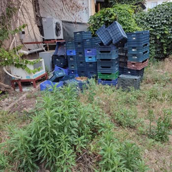 Çevre, Şehircilik Ve İklim Değişikliği Bakanlığı Kaçak Yapı, Gürültü