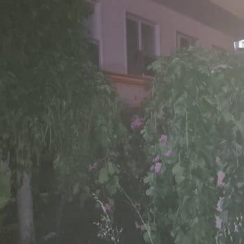 Grand Reina Beach Hotel Mağduriyeti!