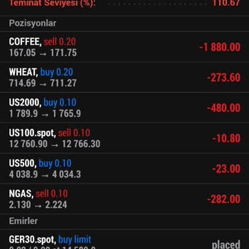 Pınar Zarifoğlu Ve West Global İnvestment