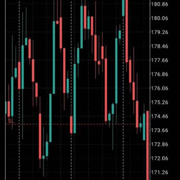 Pınar Zarifoğlu Ve West Global İnvestment