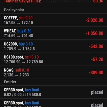 Pınar Zarifoğlu Ve West Global İnvestment