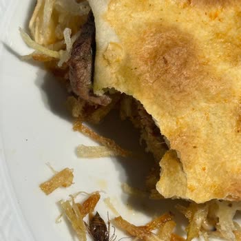 Yemeğin İçinden Böcek Çıktı!