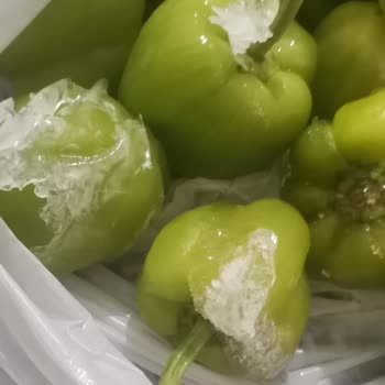 Profilo Buzdolabı Aşırı Soğutuyor!