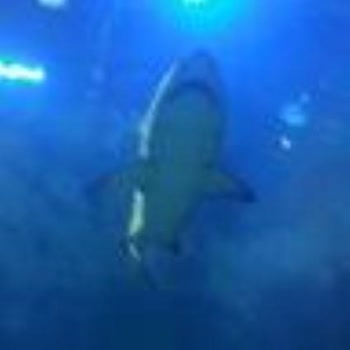 Yeni Aldığım Arçelik Buzdolabımın İç Aksamı Kırık Çıktı