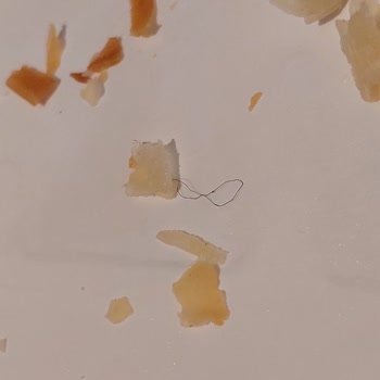 A101 Nimet Peynirli Tepsi Böreğinden İp Çıkması