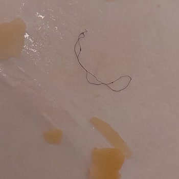 A101 Nimet Peynirli Tepsi Böreğinden İp Çıkması