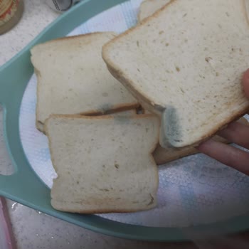 Şok Marketler Şok Markette Küflü Tost Ekmeği