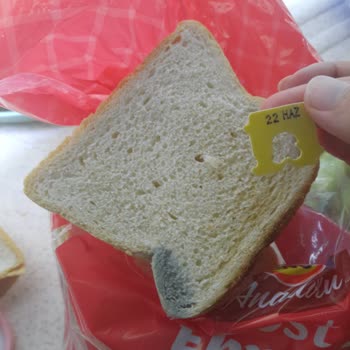 Şok Marketler Şok Markette Küflü Tost Ekmeği