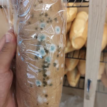 Migros Tarihi Geçmiş Ürünler Ve Çalışan Sorumsuzlukları