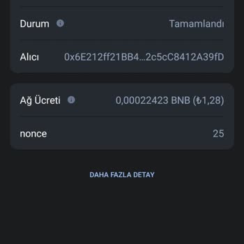 Bsc BEP20 Ağı Üzerinden Param Boşaltıldı, İadesini İstiyorum!