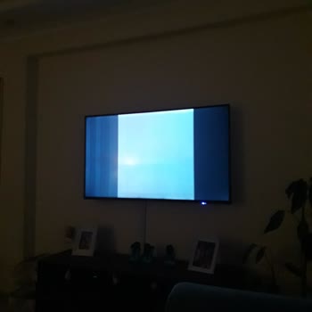 Skytech Ekran Gitti Durup Dururken Kendi Kendine Renkten Renge Giriyor