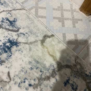 Asperox Sarı Güç Halıyı Sararttı