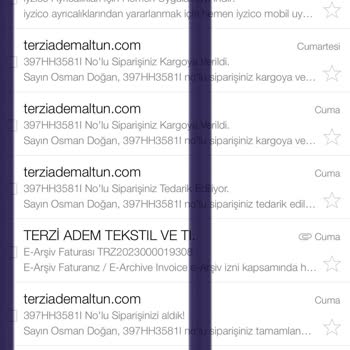 Terziademaltun Kargo Sorunsalı