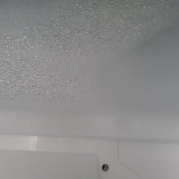 Bosch Buzdolabı Sebzelik Bölümü Çürüme Sorunu